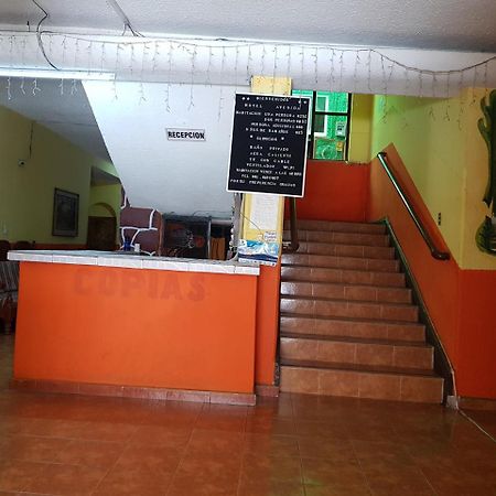 Hotel Avenida Tuxtla Gutiérrez Extérieur photo